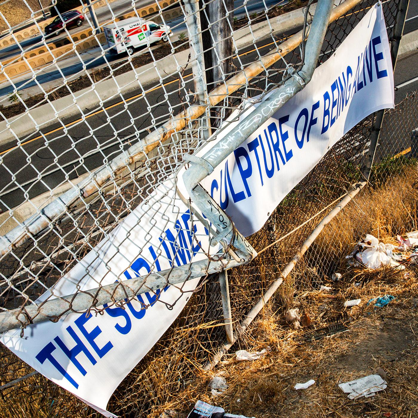 The Sublime Sculpture of Being Alive [Vinyl] (ONLINE ORDER ONLY)