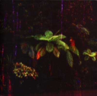 MENSTRUATION SISTERS - Puppet Island [Vinyl] (ONLINE ORDER ONLY)