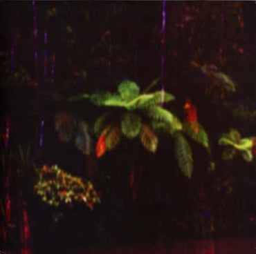 MENSTRUATION SISTERS - Puppet Island [Vinyl] (ONLINE ORDER ONLY)