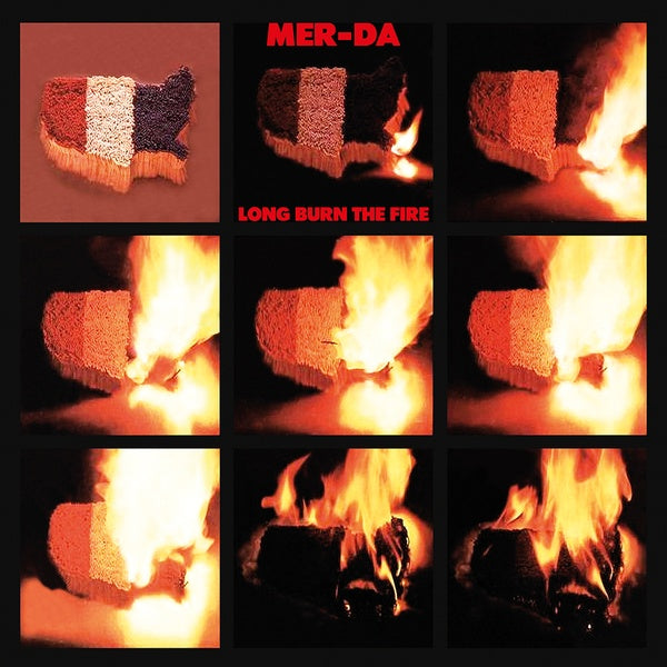 Long Burn The Fire [Vinyl]