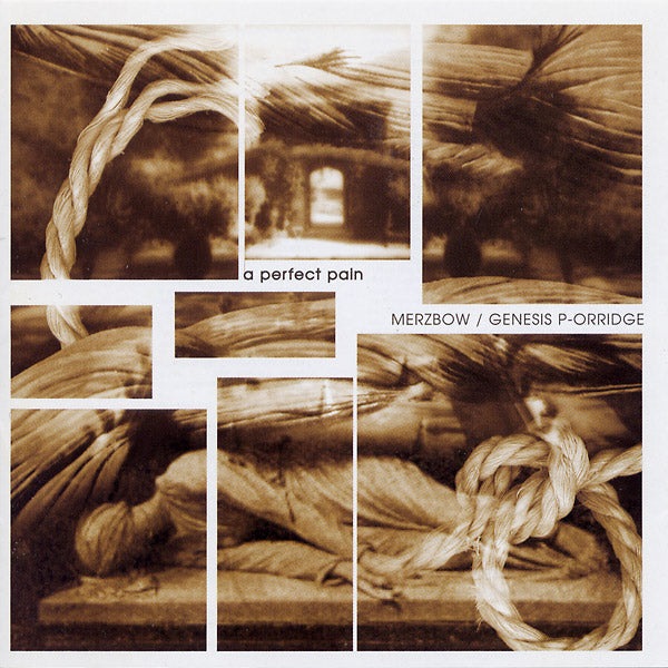 A Perfect Pain [CD]