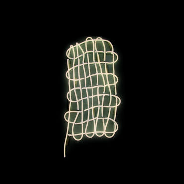 METHODS BODY - Plural Not Possessive [Vinyl] (ONLINE ORDER ONLY)