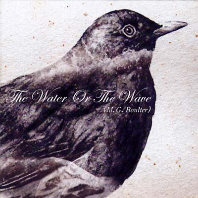 The Water or the Wave [CD]