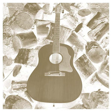 Solo Acoustic Volume Eleven - Homages [Vinyl] (ONLINE ORDER ONLY)