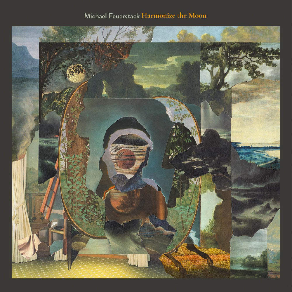 Harmonize the Moon [Vinyl]
