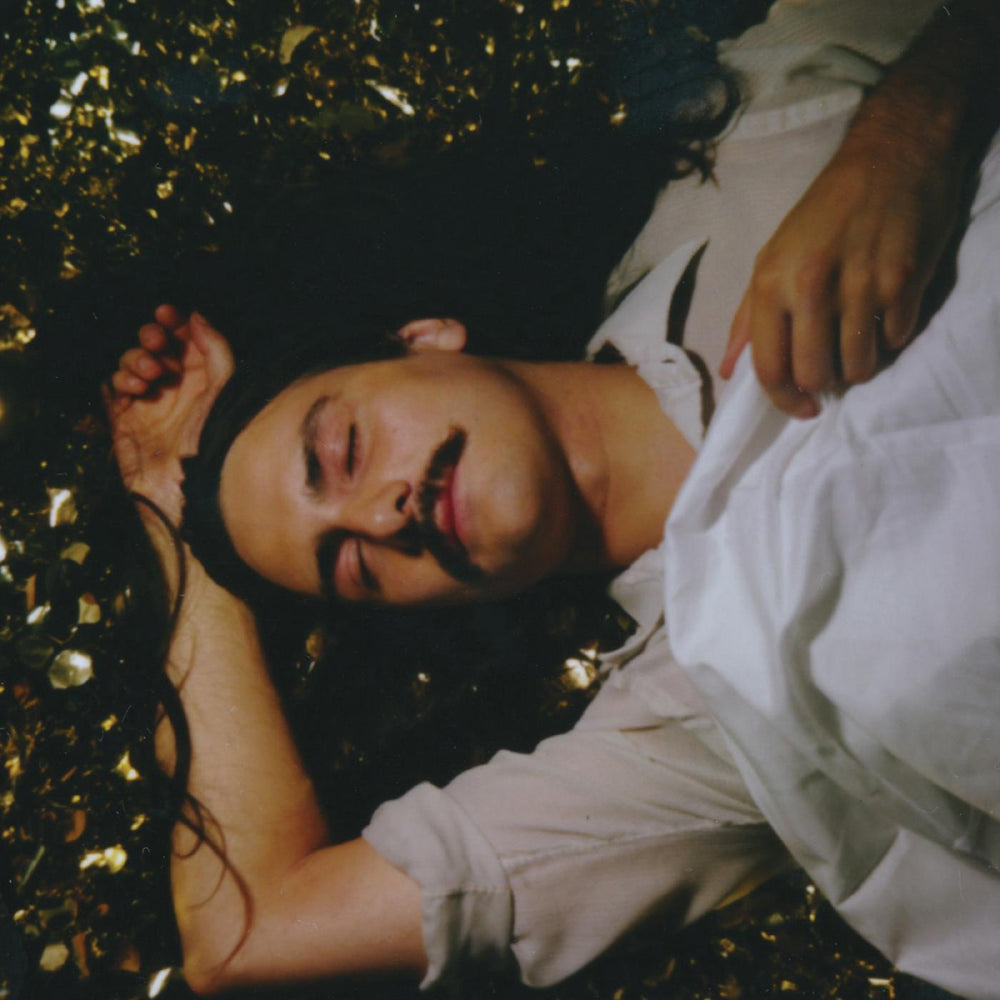 Michael Rault - It's a New Day Tonight [Vinyl] (ONLINE ORDER ONLY)