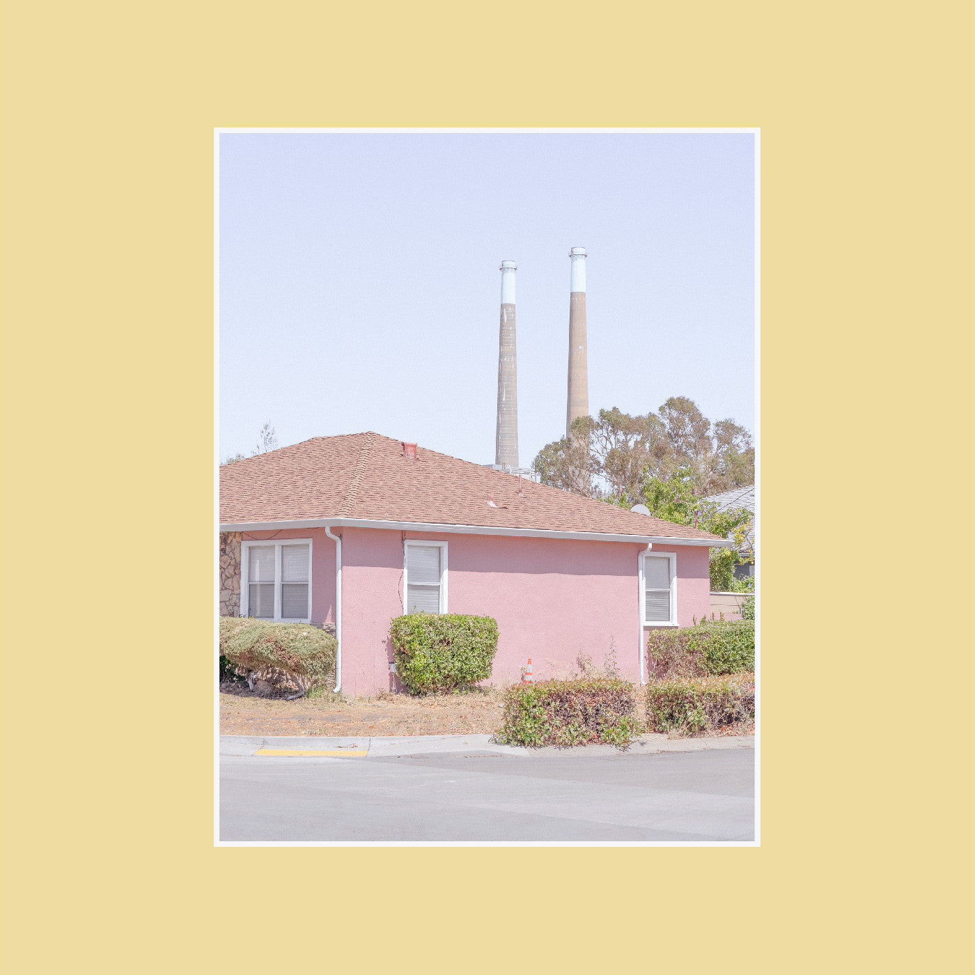 The Tinnitus Chorus [Vinyl] (ONLINE ORDER ONLY)