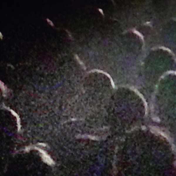 Live a La Gaite Lyrique [Vinyl] (ONLINE ORDER ONLY)