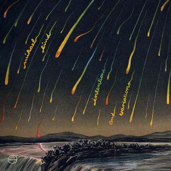 MIKAEL LIND - Intentions and Variations [Vinyl] (ONLINE ORDER ONLY)