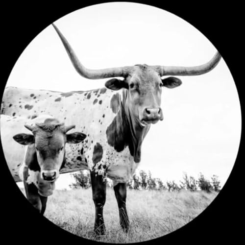 West Texas Blues [Vinyl] (ONLINE ORDER ONLY)