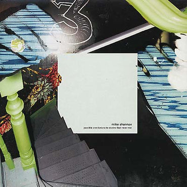 MIKE SHANNON - Possible Conclusions to Stories That Never End [Vinyl] (ONLINE ORDER ONLY)