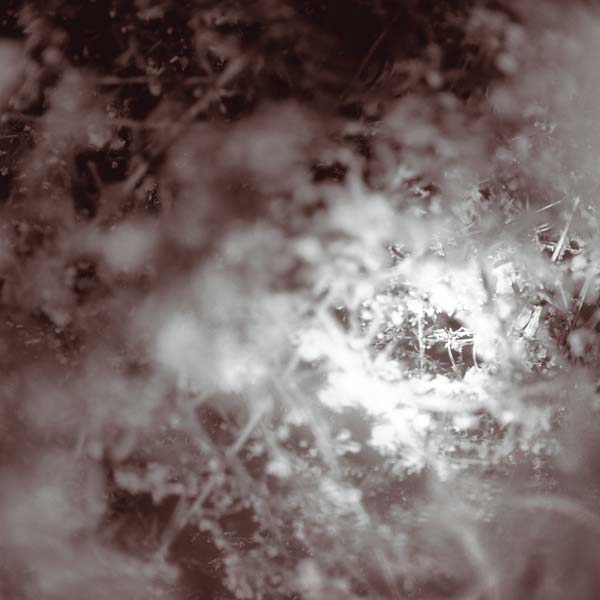 Don't Know, Just Walk [Vinyl]