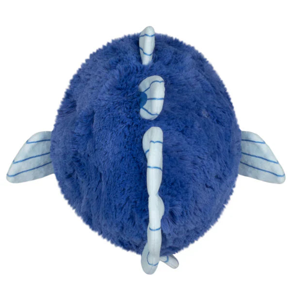 Squishable Coelacanth (Mini) (ONLINE ORDER ONLY)