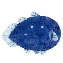 Squishable Coelacanth (Mini) (ONLINE ORDER ONLY)