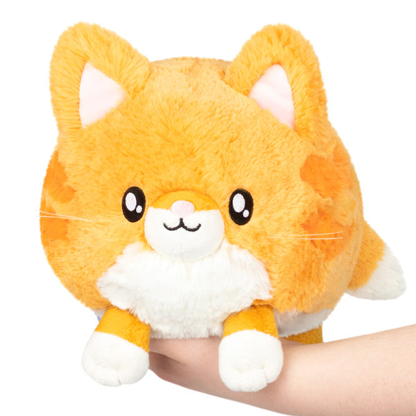 Squishable Kitty (Mini) (ONLINE ORDER ONLY)