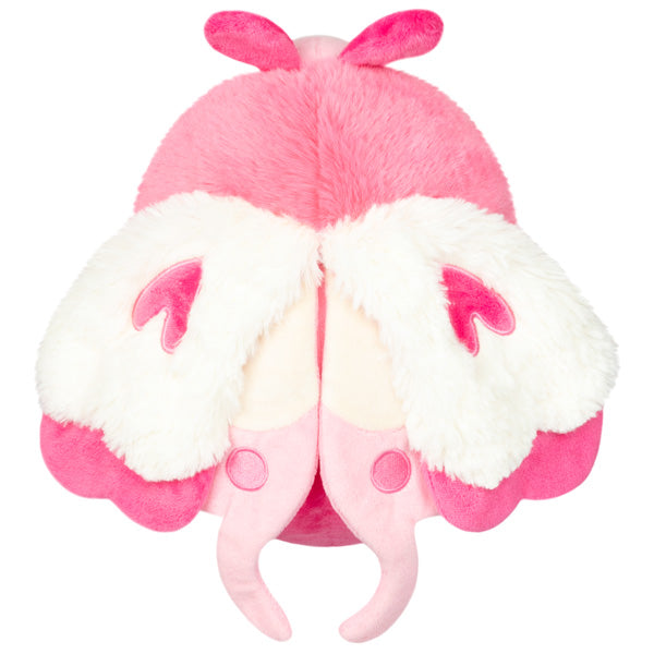 Squishable Lovebug (Mini) (ONLINE ORDER ONLY)
