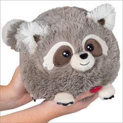 Squishable Baby Raccoon (Mini) (ONLINE ORDER ONLY)