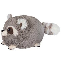 Squishable Baby Raccoon (Mini) (ONLINE ORDER ONLY)