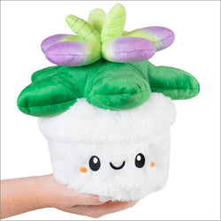 Squishable Succulent (Mini) (ONLINE ORDER ONLY)