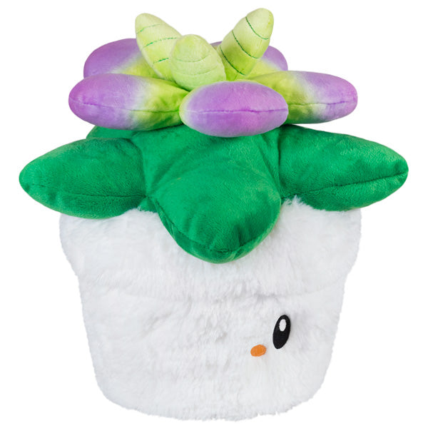 Squishable Succulent (Mini) (ONLINE ORDER ONLY)