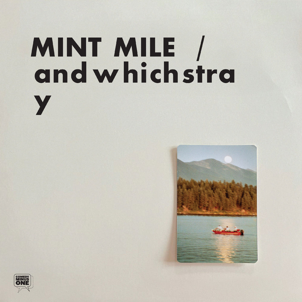 Andwhichstray [Vinyl] (ONLINE ORDER ONLY)