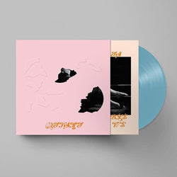 The Land Is Inhospitable and So Are We (Colored Vinyl, Robin's Egg Blue, Slipsleeve Packaging) [Vinyl] (ONLINE ORDER ONLY)