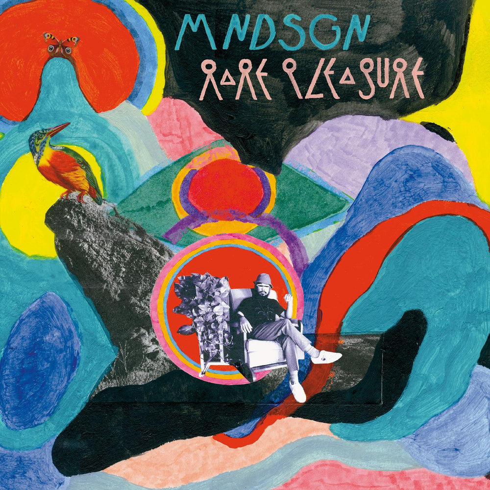 Rare Pleasure [CD]