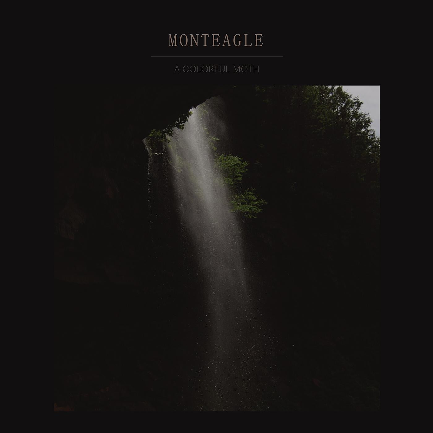 Monteagle - A Colorful Moth [Vinyl] (ONLINE ORDER ONLY)