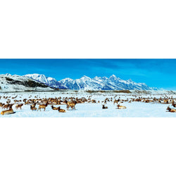 Elk Refuge, Wyoming 1000 Piece Panoramic Jigsaw Puzzle (ONLINE ORDER ONLY)