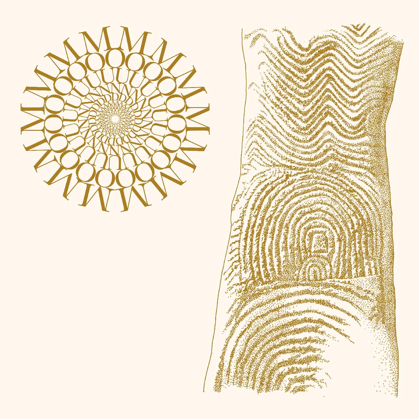 Flowers Rot, Bring Me Stones (BROWN & CLEAR SPECKLE VINYL) [Vinyl] (ONLINE ORDER ONLY)