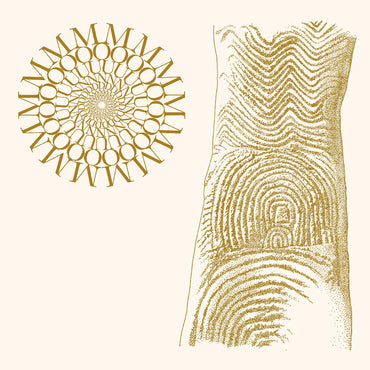 Flowers Rot, Bring Me Stones (BROWN & CLEAR SPECKLE VINYL) [Vinyl] (ONLINE ORDER ONLY)