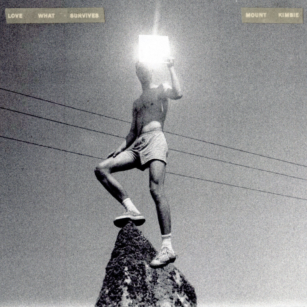 Love What Survives [Vinyl]