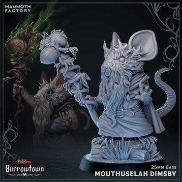 Mouthuselah Dimsby (Male Jerbeen Wizard) (ONLINE ORDER ONLY)