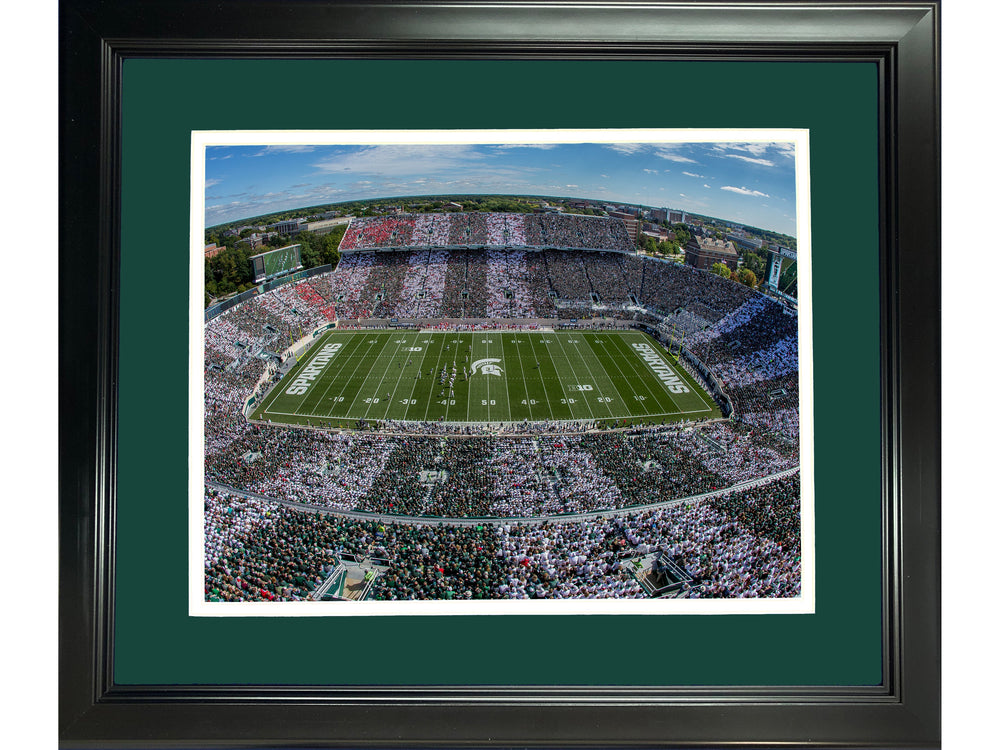 Framed Spartan Stadium Michigan State Spartans 11"x14" NCAA Football Photo Professionally Matted (ONLINE ORDER ONLY)