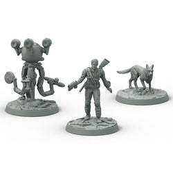 Fallout: Wasteland Warfare - Survivors - Heroes of Sanctuary Hills (ONLINE ORDER ONLY)