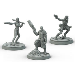Fallout: Wasteland Warfare - Survivors - Boston Companions (ONLINE ORDER ONLY)
