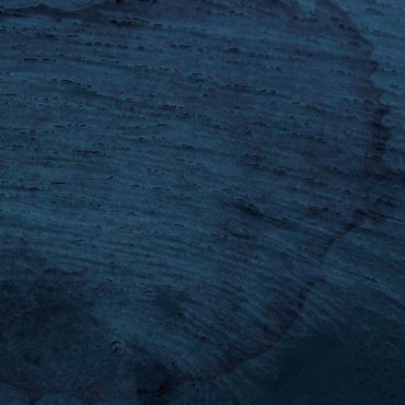 Aquatic System [CD] (ONLINE ORDER ONLY)
