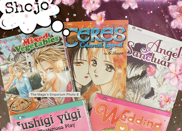 Mystery Manga Box - English Shojo Manga (Online Order Only)