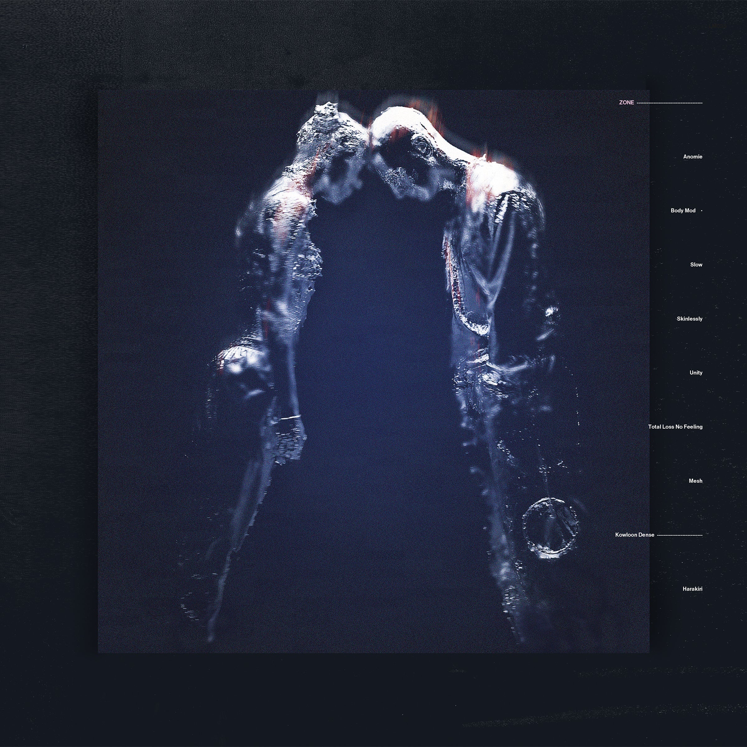 Zone [Vinyl] (ONLINE ORDER ONLY)