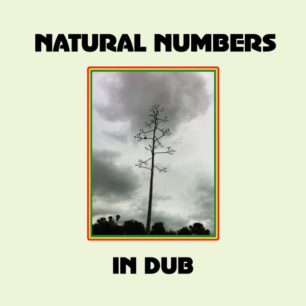 Natural Numbers in Dub [Vinyl] (ONLINE ORDER ONLY)