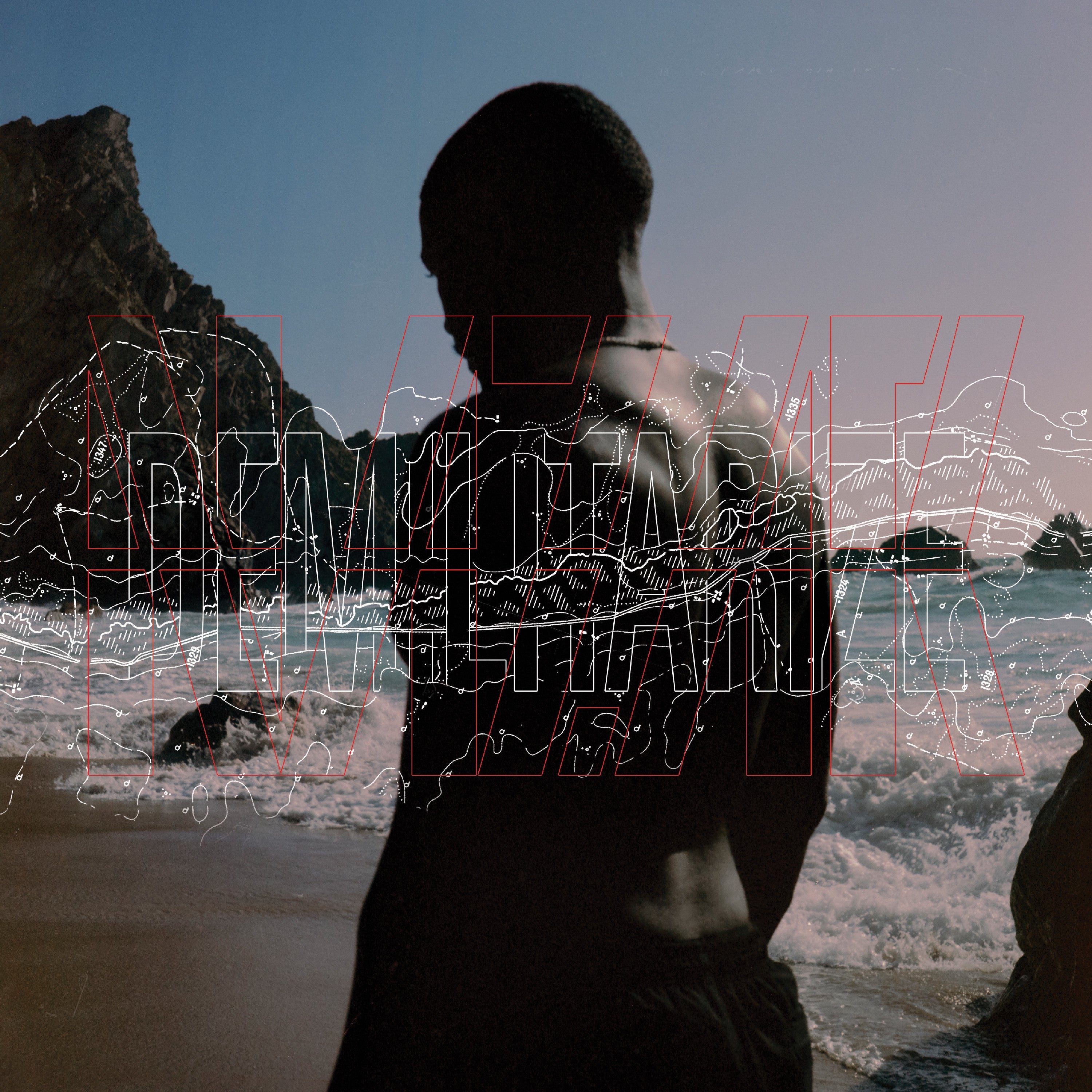 Demilitarize [Vinyl]