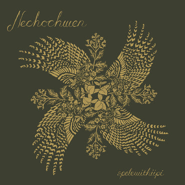 Spelewithiipi [CD] (ONLINE ORDER ONLY)