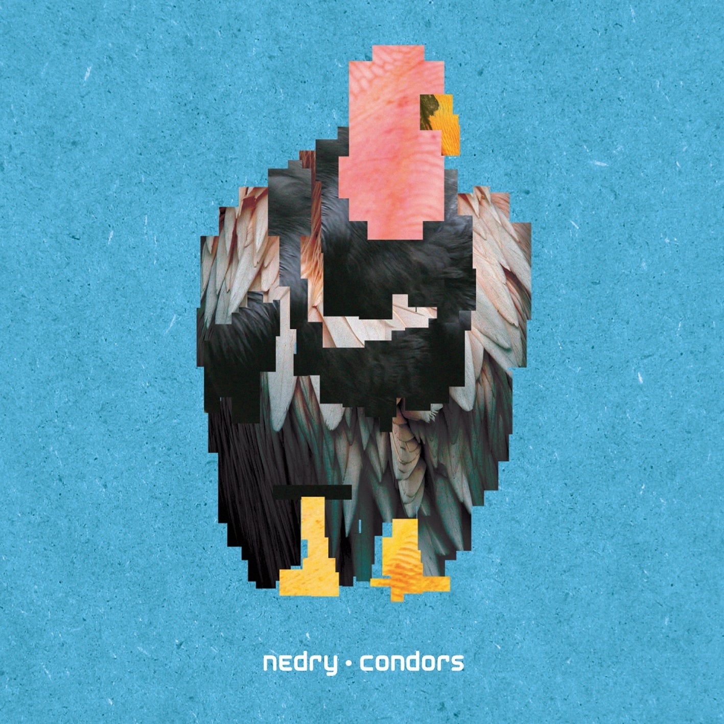 Nedry - Condors [CD] (ONLINE ORDER ONLY)