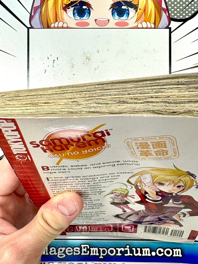 Negima! Magister Negi Magi Vol 19 (Online Order Only)