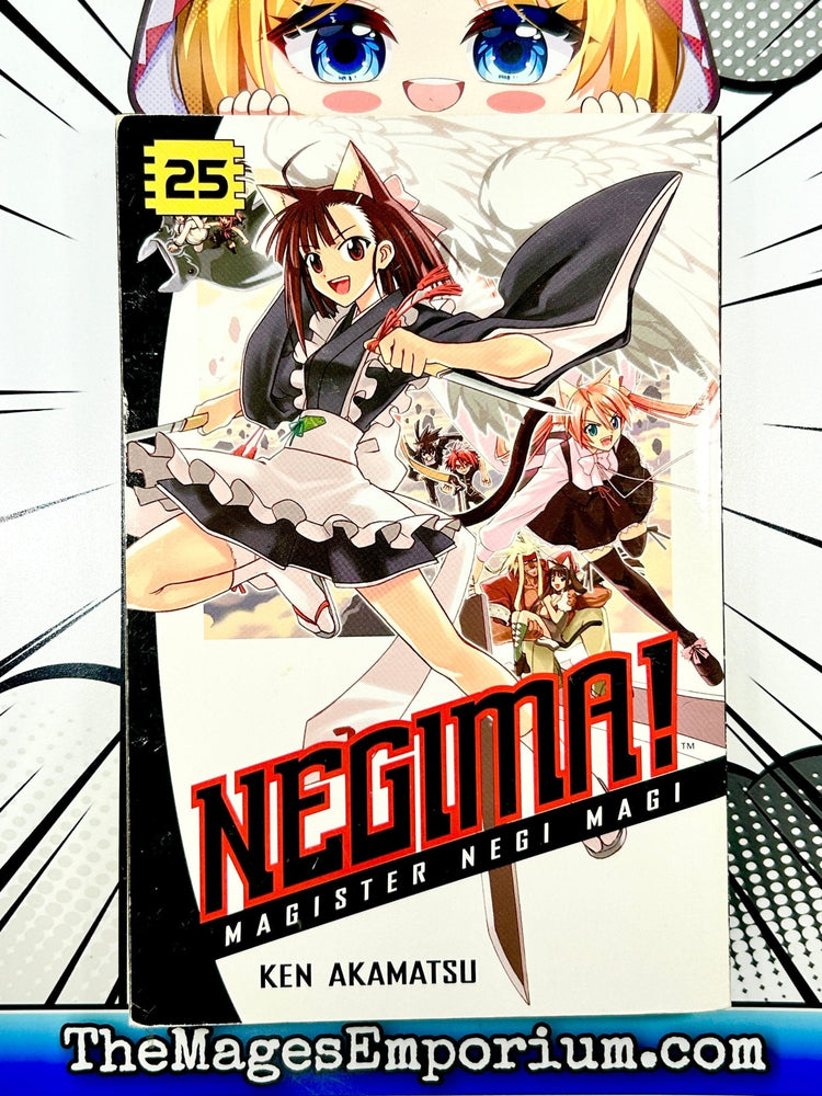 Negima! Magister Negi Magi Vol 25 (Online Order Only)