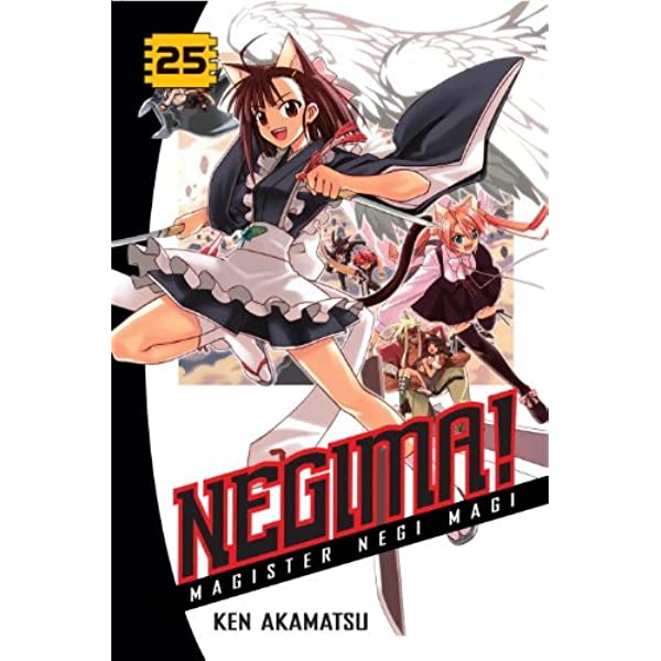 Negima! Magister Negi Magi Vol 25 (Online Order Only)