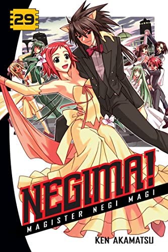 Negima! Magister Negi Magi Vol 29 (Online Order Only)