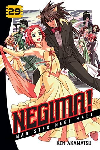 Negima! Magister Negi Magi Vol 29 (Online Order Only)