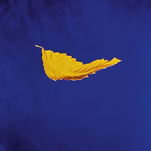 New Order - True Faith (2023 Remaster) [Vinyl] (ONLINE ORDER ONLY)