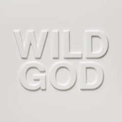 Nick Cave & the Bad Seeds - Wild God [Vinyl]
